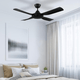 Ceiling Fans Without Light