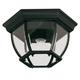 Outdoor Ceiling Lights