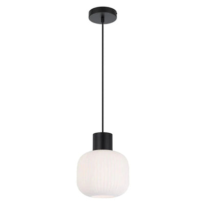 Nori 20 Pendant Light 1 LT in Black/ Opal Matt