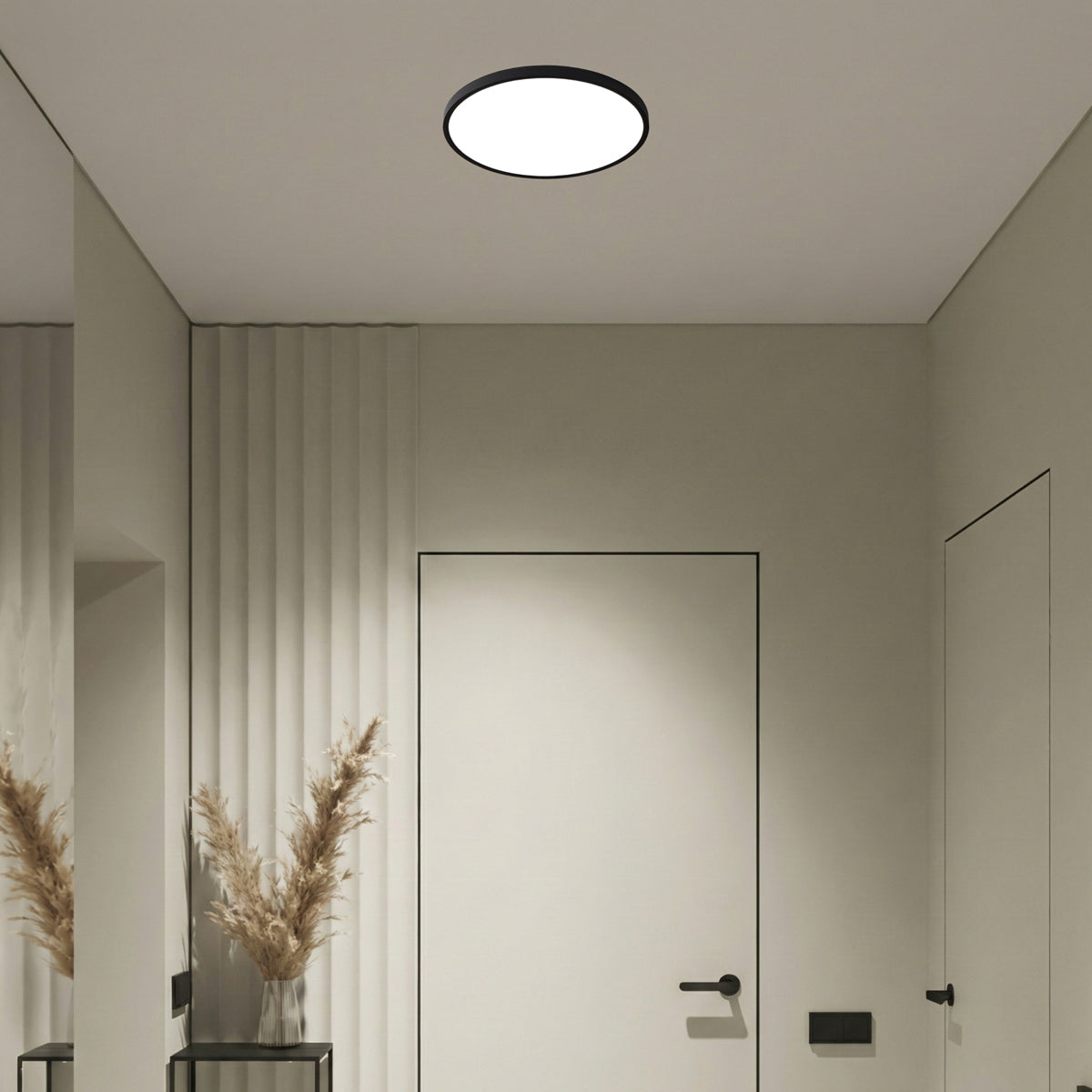 How to Choose the Right Oyster Light