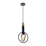 Marvin 1 Light Pendant Light Black / Gold