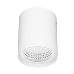 Brilliant Anka White 9W CCT Surface Mount Downlight