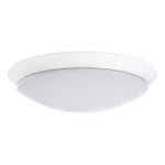 Brilliant White Fantastic 20W LED CCT Light Kit