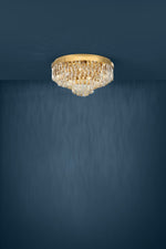 Valparaiso Ceiling Light 11Lt in the room
