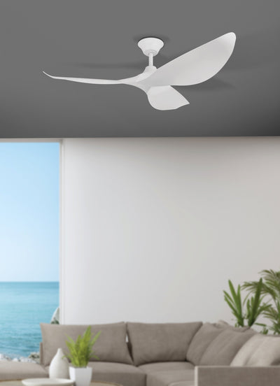 50" Cabarita DC Ceiling Fan in the room
