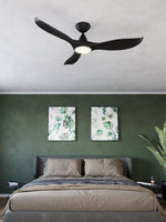 Noosa 40" DC Fans in the room