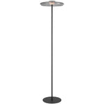 Amity LED Floor Lamp — Black| Smoke