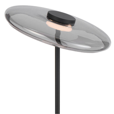 Amity LED Floor Lamp