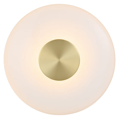 Amity LED Wall Light