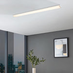 Anka 120Cm LED Batten Ceiling Light — lifestyle