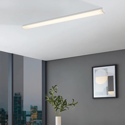 Anka 120Cm LED Batten Ceiling Light — lifestyle