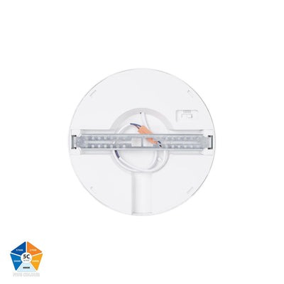 Auster White Dimmable 225mm Slim Oyster Light