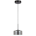 Cedro 1 LED Pendant Light