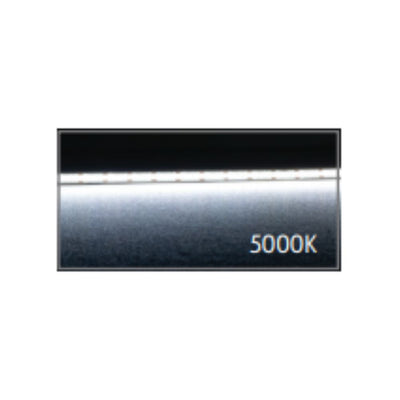 Domus PLEX-COB-20-IP67 Strip IP67 CRI90 24V 640LED/M 20M