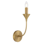 Farnix Wall Light
