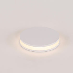 2.5w Inground or Wall Light