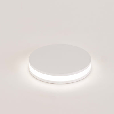 2.5w Inground or Wall Light