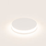 2.5w Inground or Wall Light