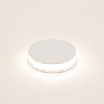 1w Mini Inground or Wall Light