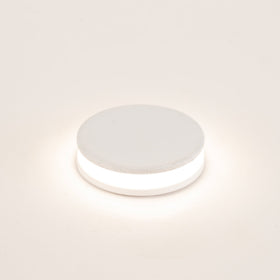 1w Mini Inground or Wall Light