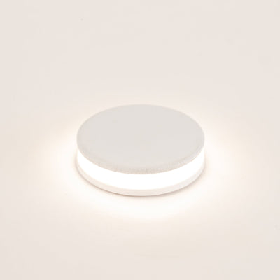 1w Mini Inground or Wall Light