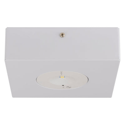 Surface Mounted 3w LED Spitfire
