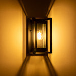 Felix Black Wall Light