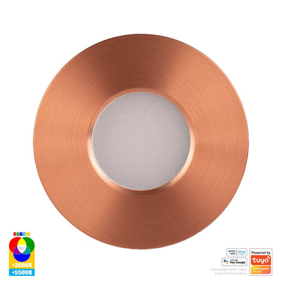 Prime Coloured Fixed WIFI Downlight 70mm Cutout