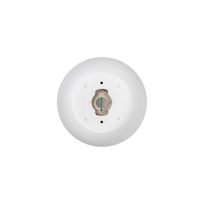 Auster White + Gold trim to suit HV5863S-WHT