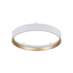 Auster White + Gold trim to suit HV5864S-WHT