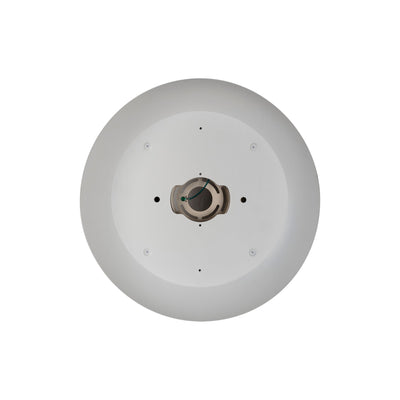 Auster White + Gold trim to suit HV5864S-WHT