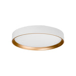 Auster White + Gold trim to suit HV5864S-WHT