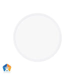 Auster White Dimmable 300mm Slim Oyster Light