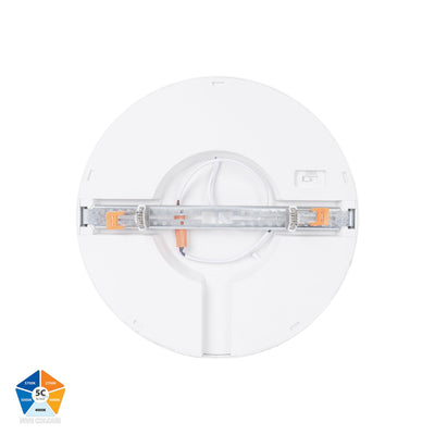 Auster White Dimmable 300mm Slim Oyster Light