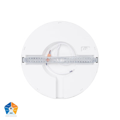 Auster White Dimmable 300mm Slim Oyster Light