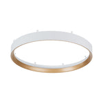 Auster White + Gold trim to suit HV5865S-WHT