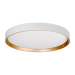 Auster White + Gold trim to suit HV5865S-WHT
