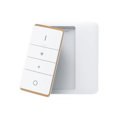 Wireless Press Wall Switch