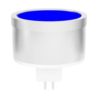 Blue Globe
