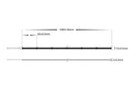 15w RGB COB Strip Lighting - IP20 / Per Metre