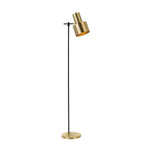 Modern Adjustable Floor Lamp