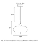 Lasian 30Cm Pendant Light