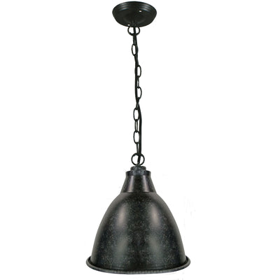Riverside Chain Pendant Light 1Lt