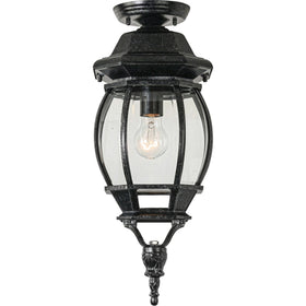 Flinders Medium IP44 Outdoor Under Eave Antique Black