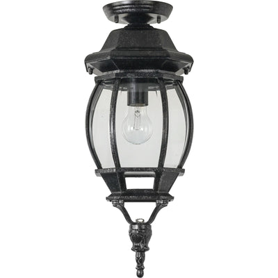 Flinders Medium IP44 Outdoor Under Eave Antique Black