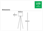 Alexia Floor Lamp