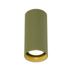 Minzie Surface Mounted Downlight