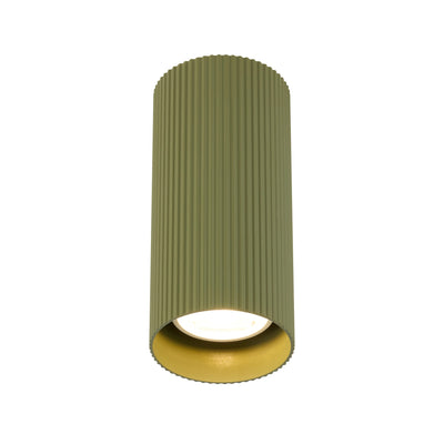 Minzie Surface Mounted Downlight