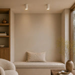 Minzie Surface Mounted Downlight