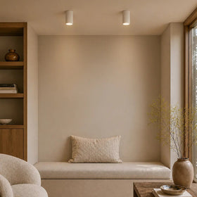 Minzie Surface Mounted Downlight